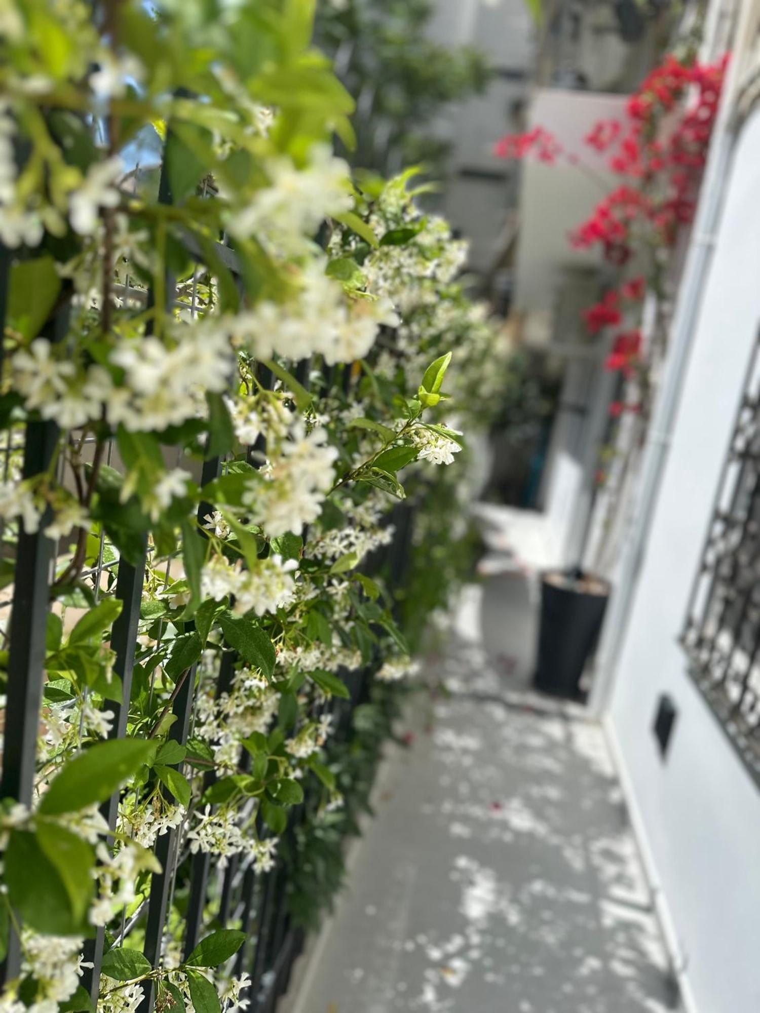 Athenian Coastal Urban Living Apartment Екстериор снимка